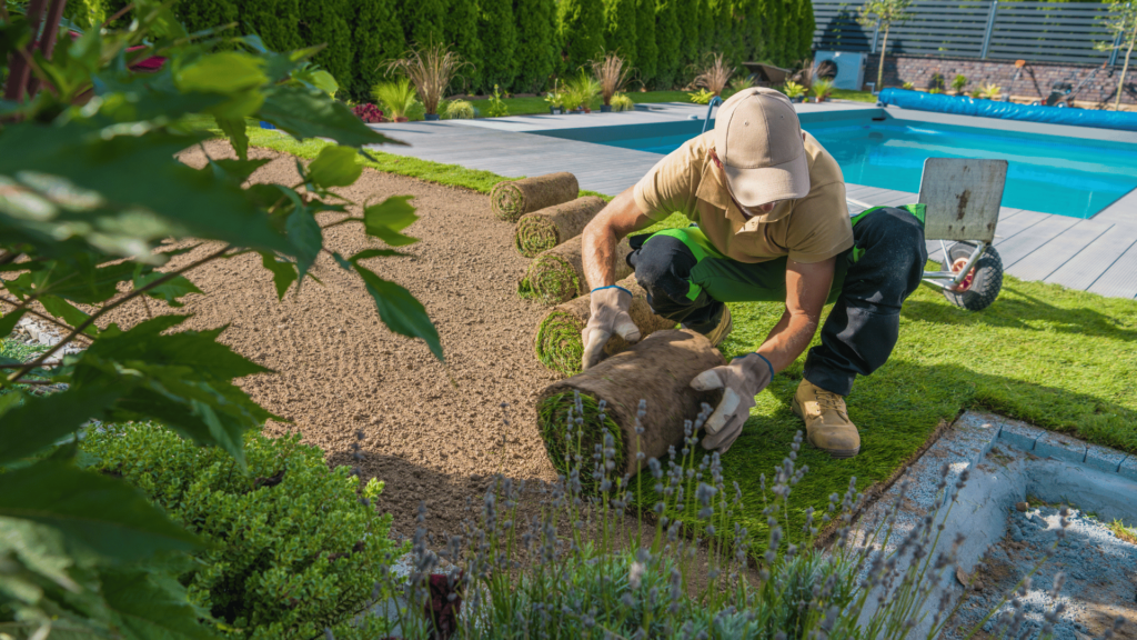 A professional landscaper planting grass.